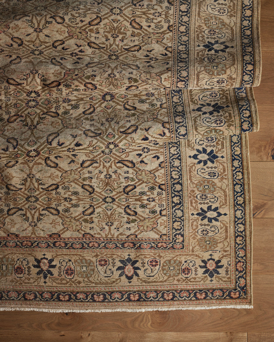 Tapis Bérénice (6'5" x 9'3")