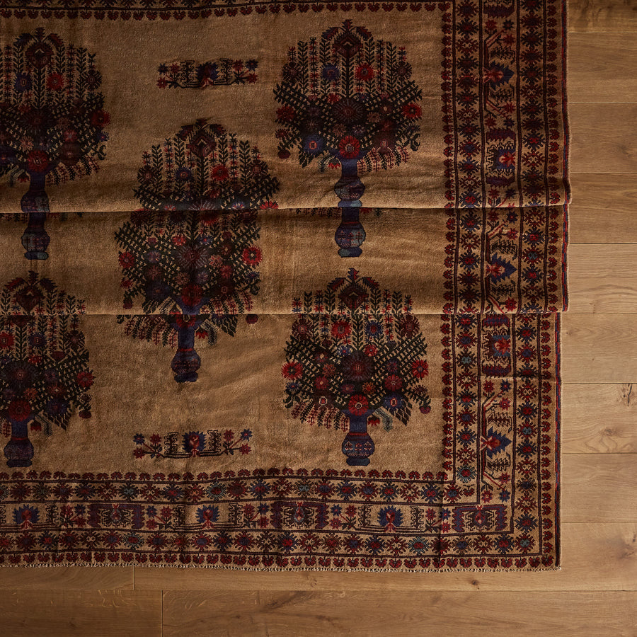 Tapis Bourgeois (6'7" x 9'3")
