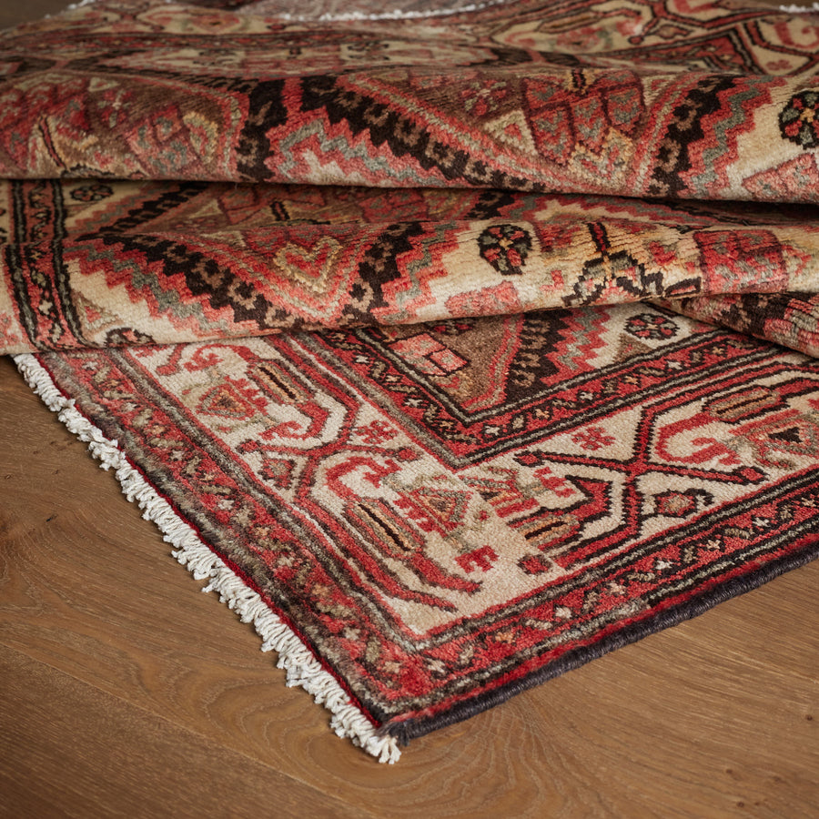 Tapis Landon (3'7" x 10'2")