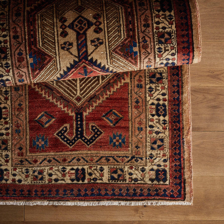 Tapis Cooper (3'1" x 11'1")