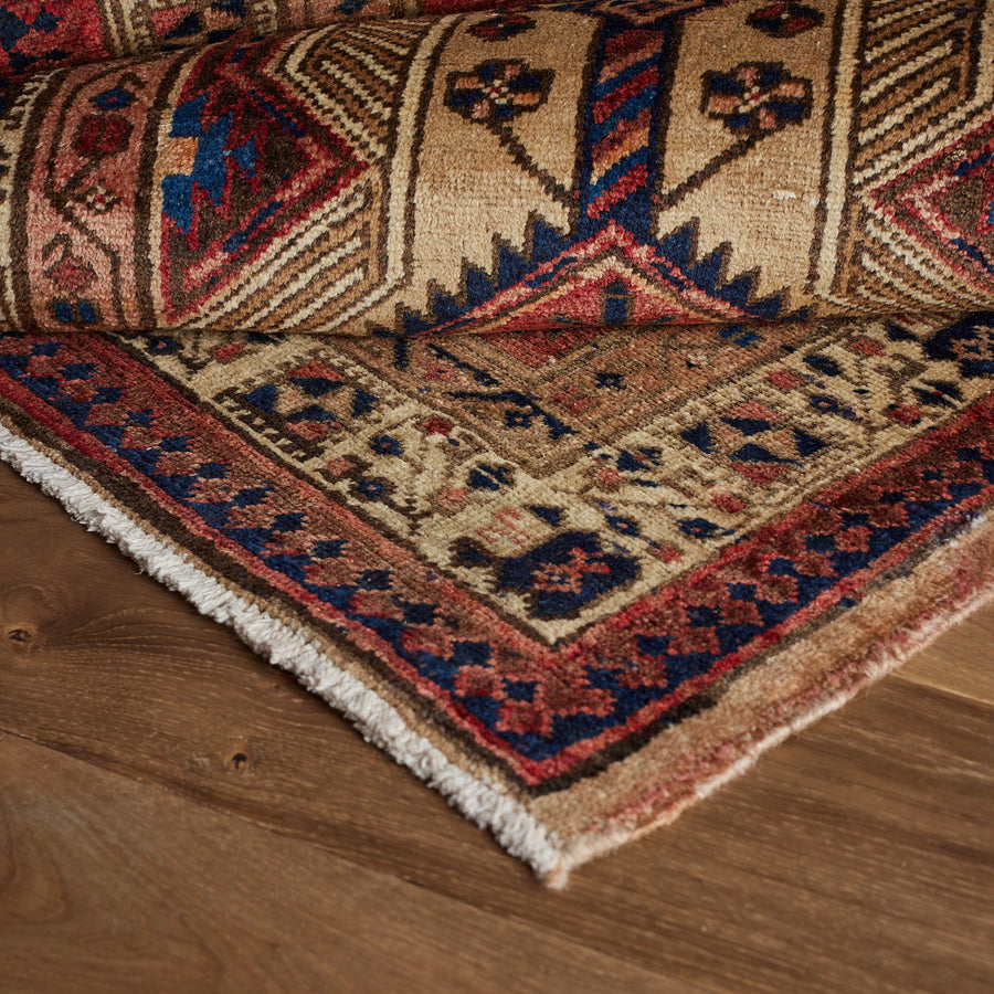 Tapis Cooper (3'1" x 11'1")