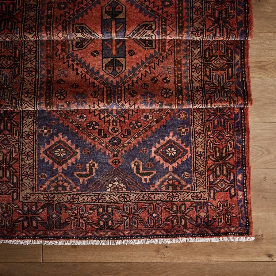 Tapis Ira (3'8" x 9'6")