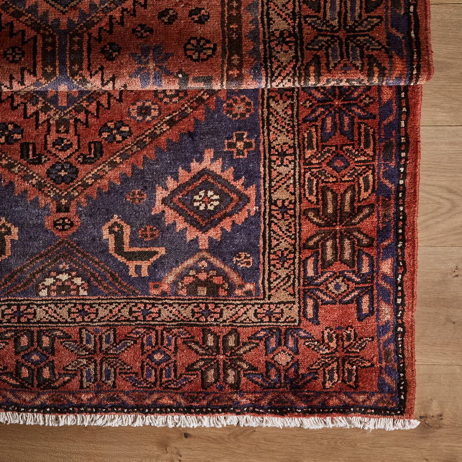 Tapis Ira (3'8" x 9'6")