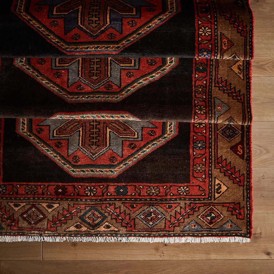 Tapis Rubis (4'3" x 9'9")