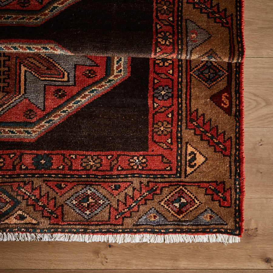 Tapis Rubis (4'3" x 9'9")