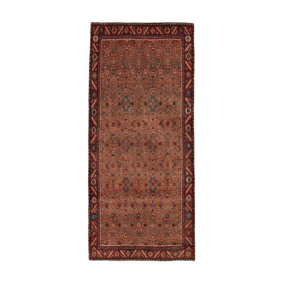 Tapis Santiago (4'10" x 10'1")