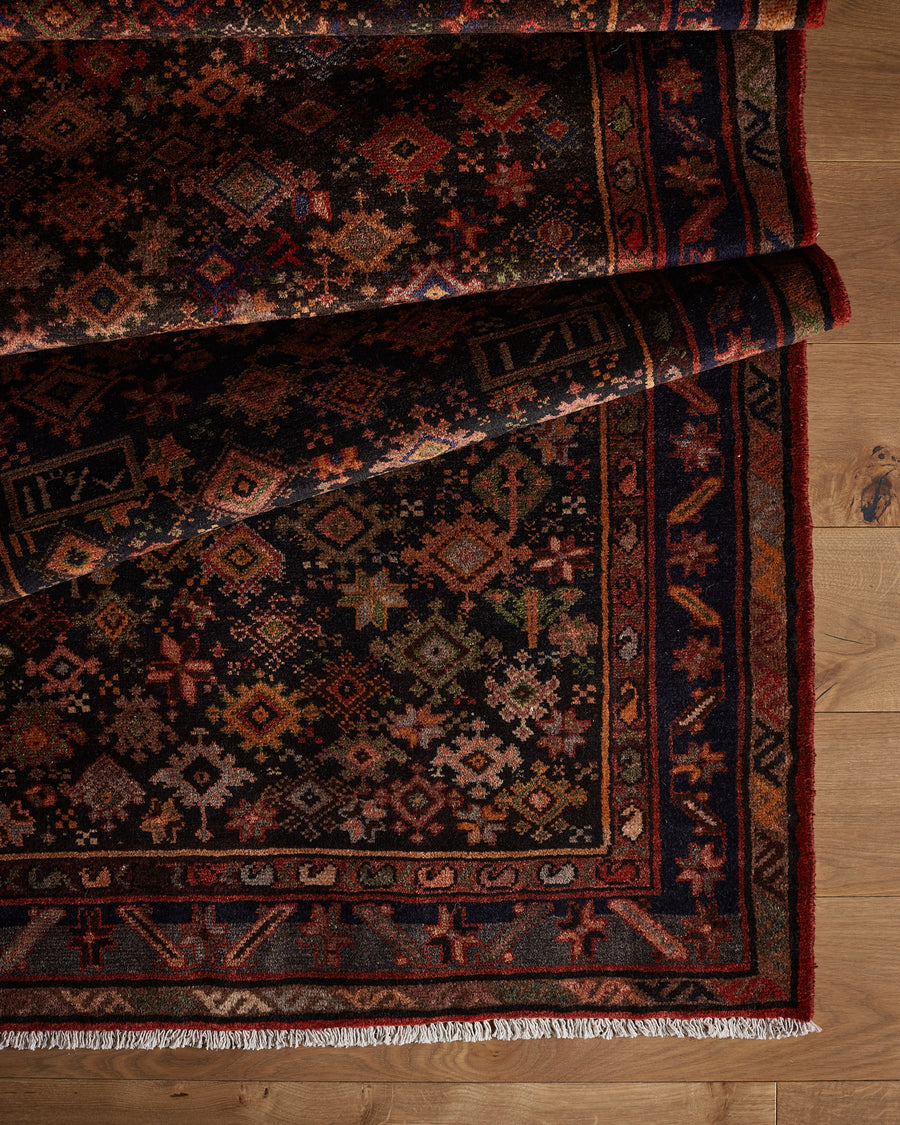 Tapis Rodriguez (3'7" x 10'2")