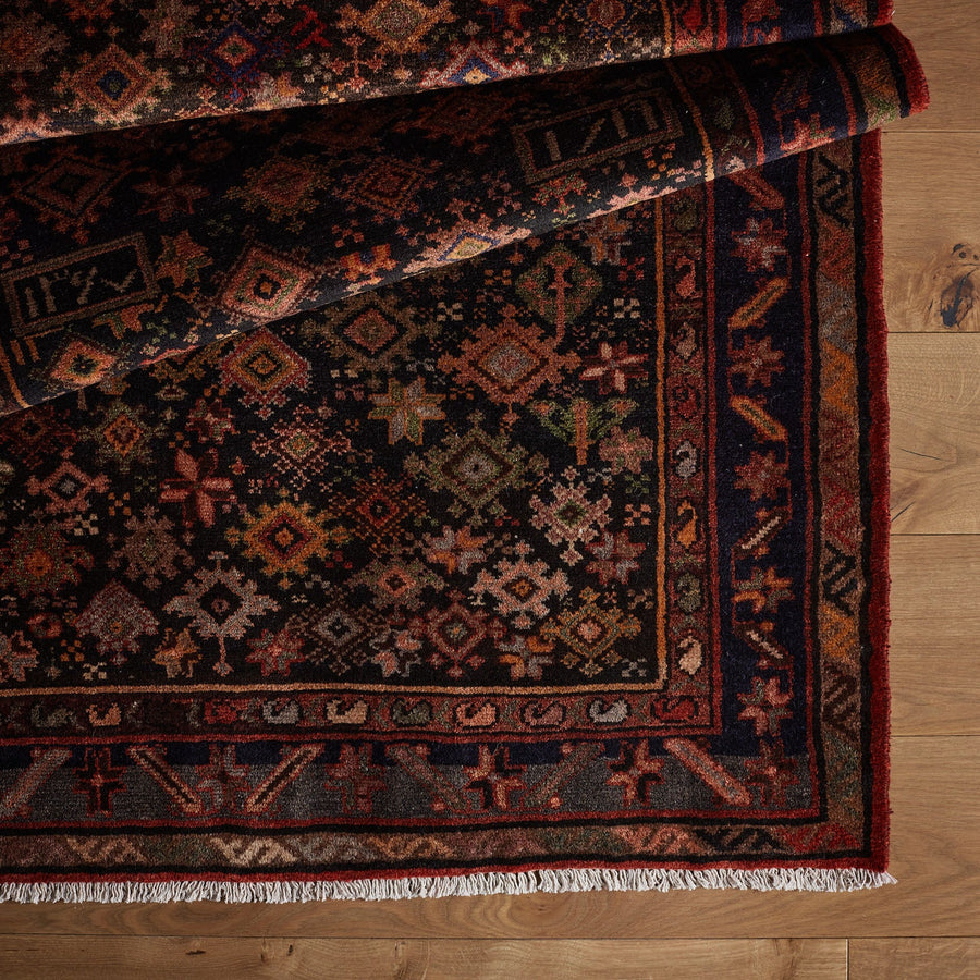 Tapis Rodriguez (3'7" x 10'2")