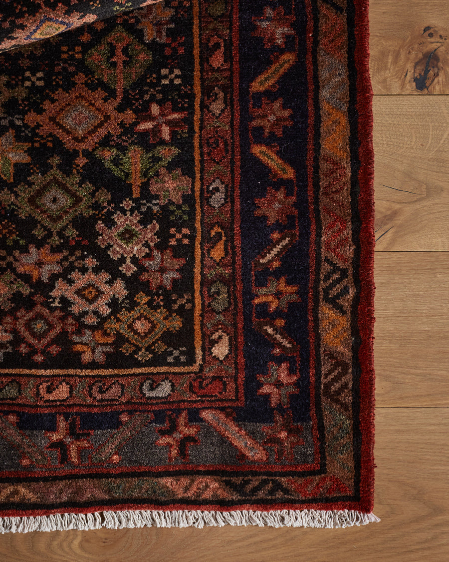 Tapis Rodriguez (3'7" x 10'2")