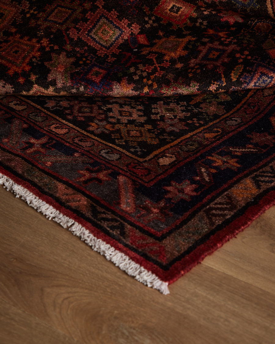 Tapis Rodriguez (3'7" x 10'2")