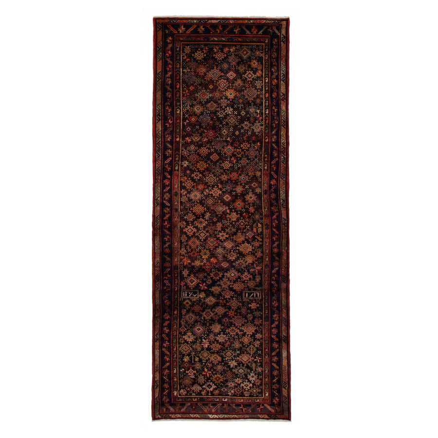 Tapis Rodriguez (3'7" x 10'2")