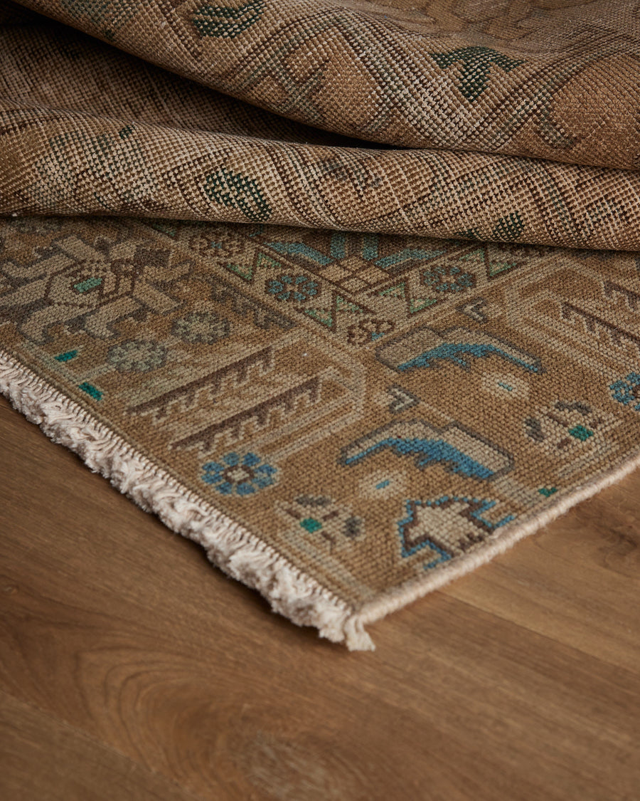Tapis Evangelista (9'2" x 12'0")