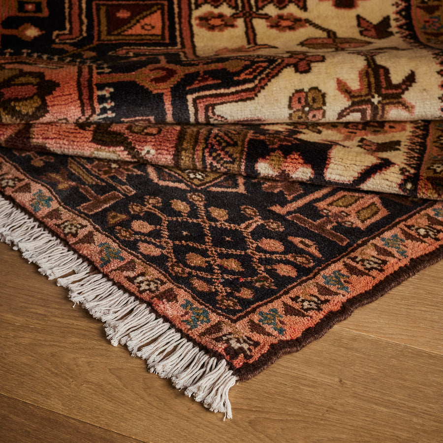 Tapis Coqueli (5'3" x 6'9")