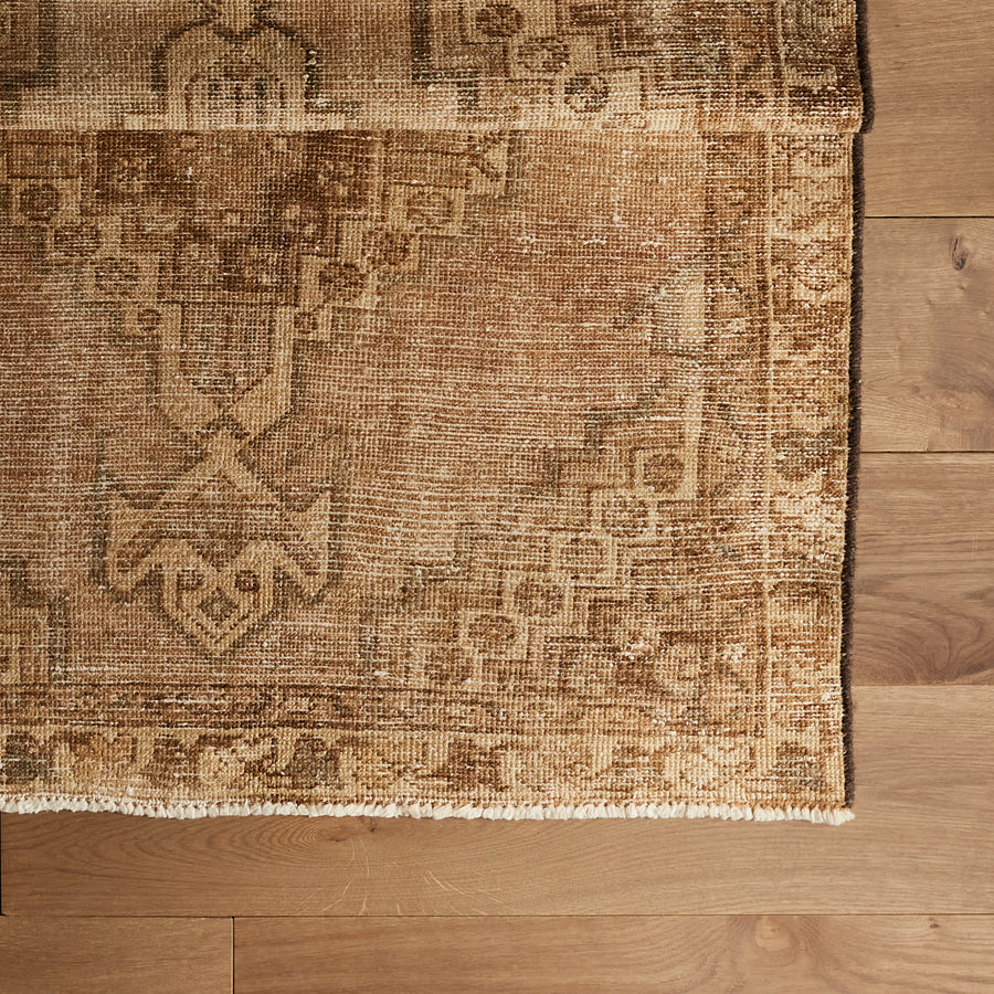 Tapis Rafiella (3'3" x 9'9")