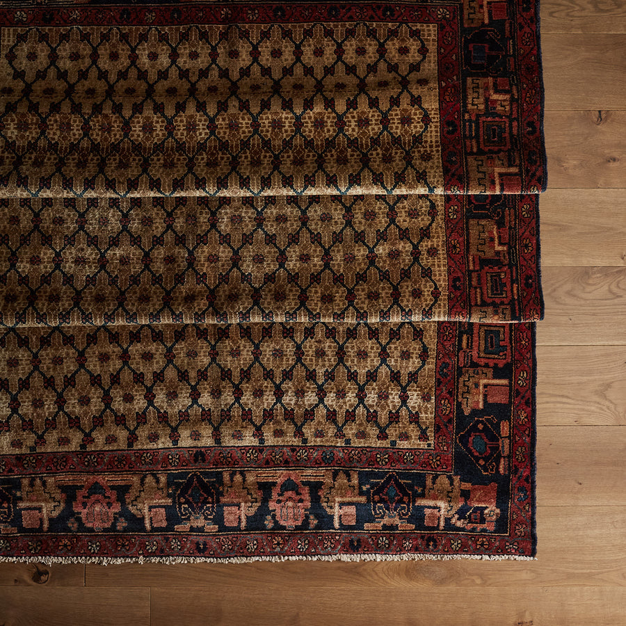 Tapis Nesmée (5'2" x 9'6")
