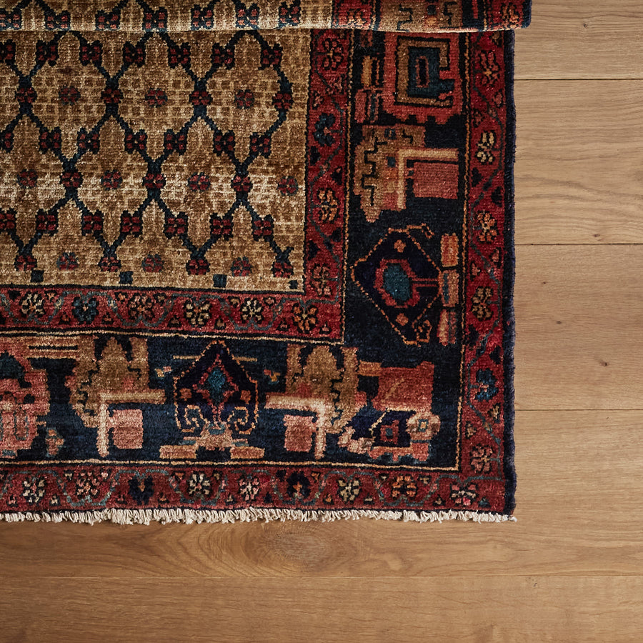 Tapis Nesmée (5'2" x 9'6")
