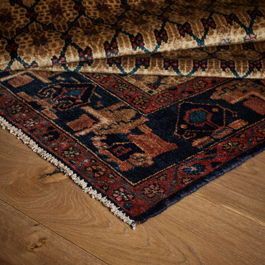 Tapis Nesmée (5'2" x 9'6")