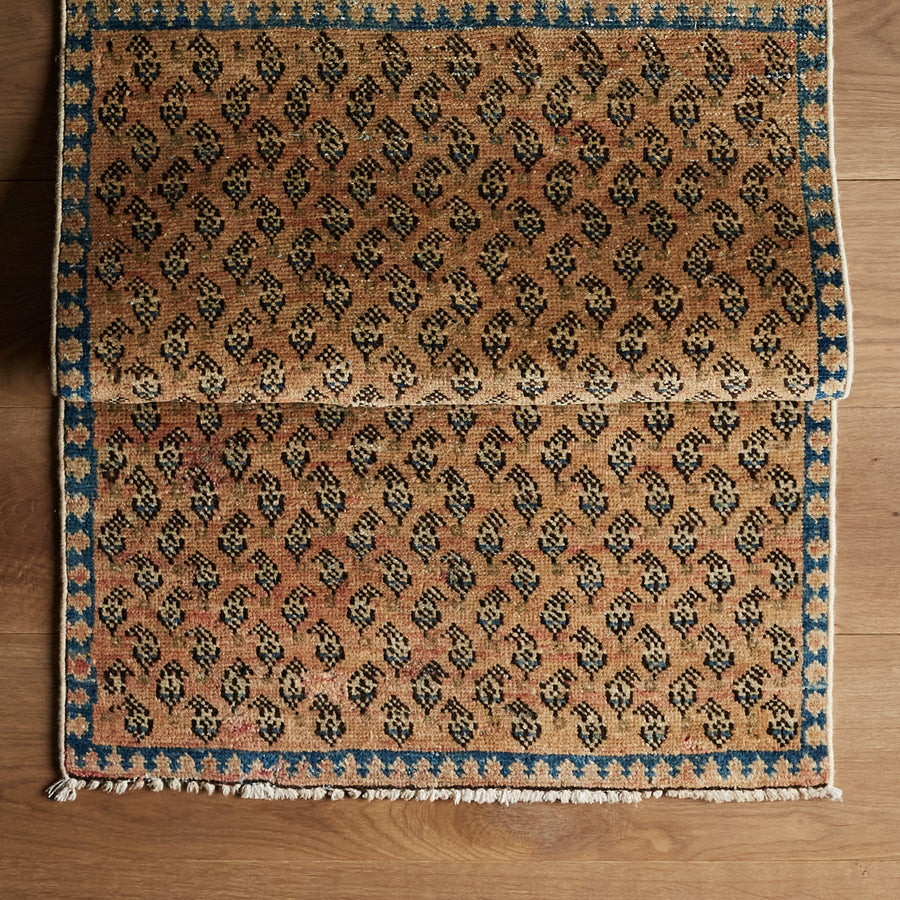 Tapis Papini (2'1" x 3'2")