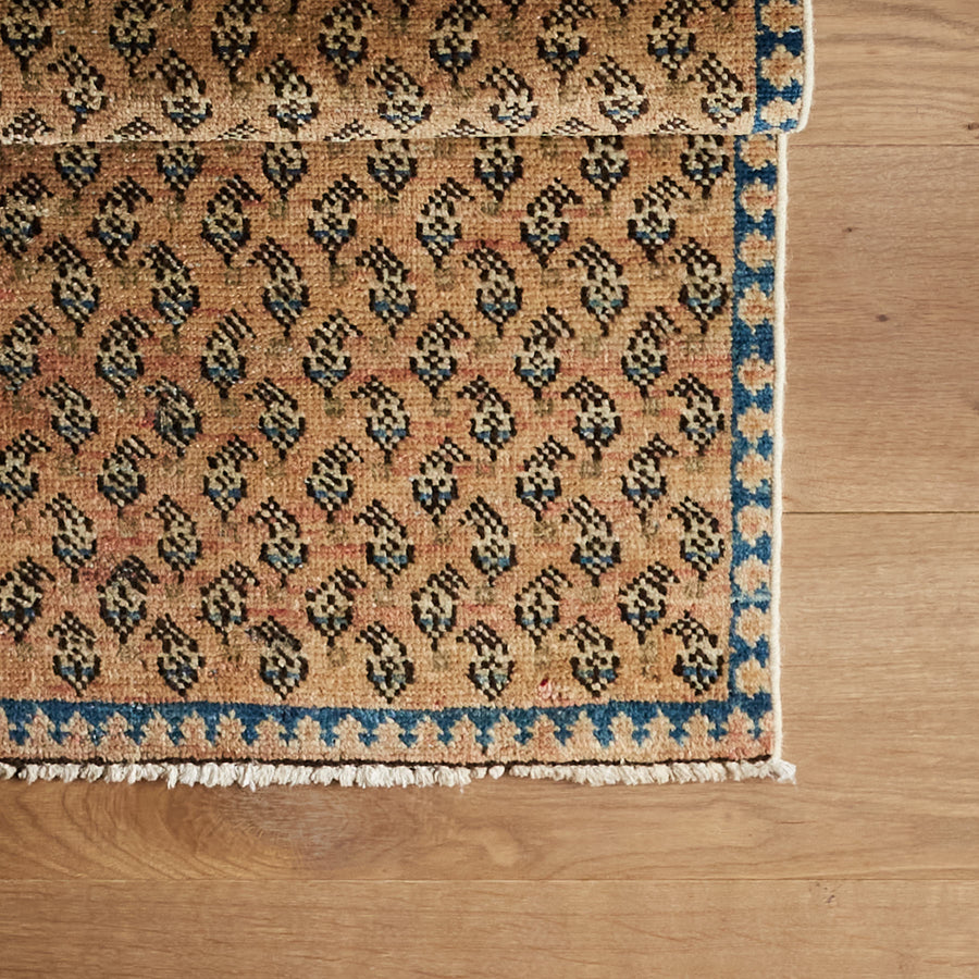 Tapis Papini (2'1" x 3'2")