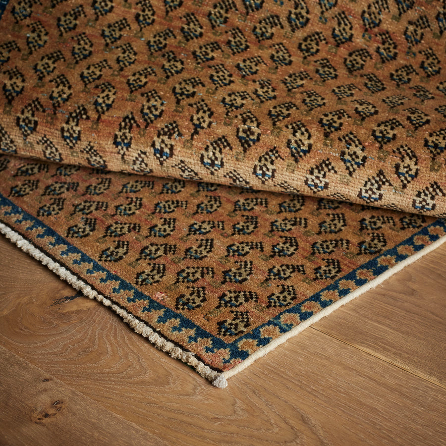 Tapis Papini (2'1" x 3'2")