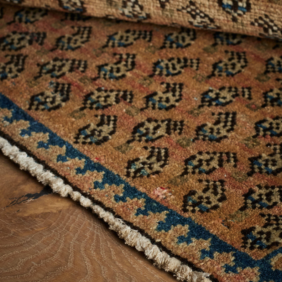 Tapis Papini (2'1" x 3'2")