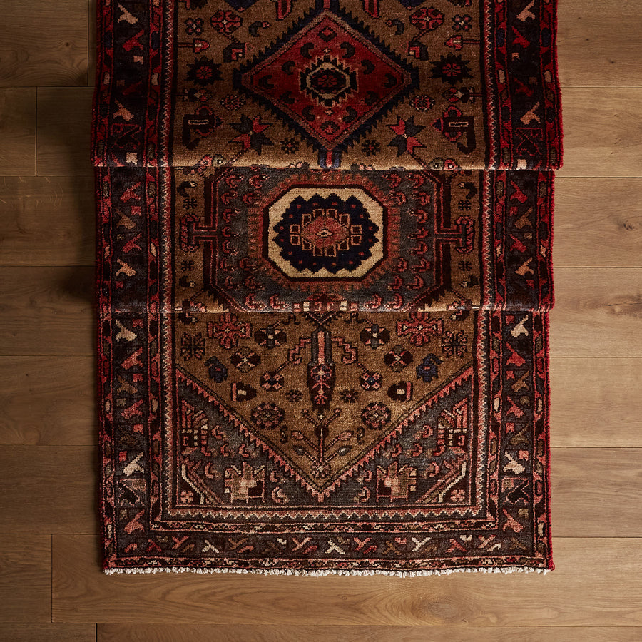 Tapis Ethna (3'2" x 9'5")