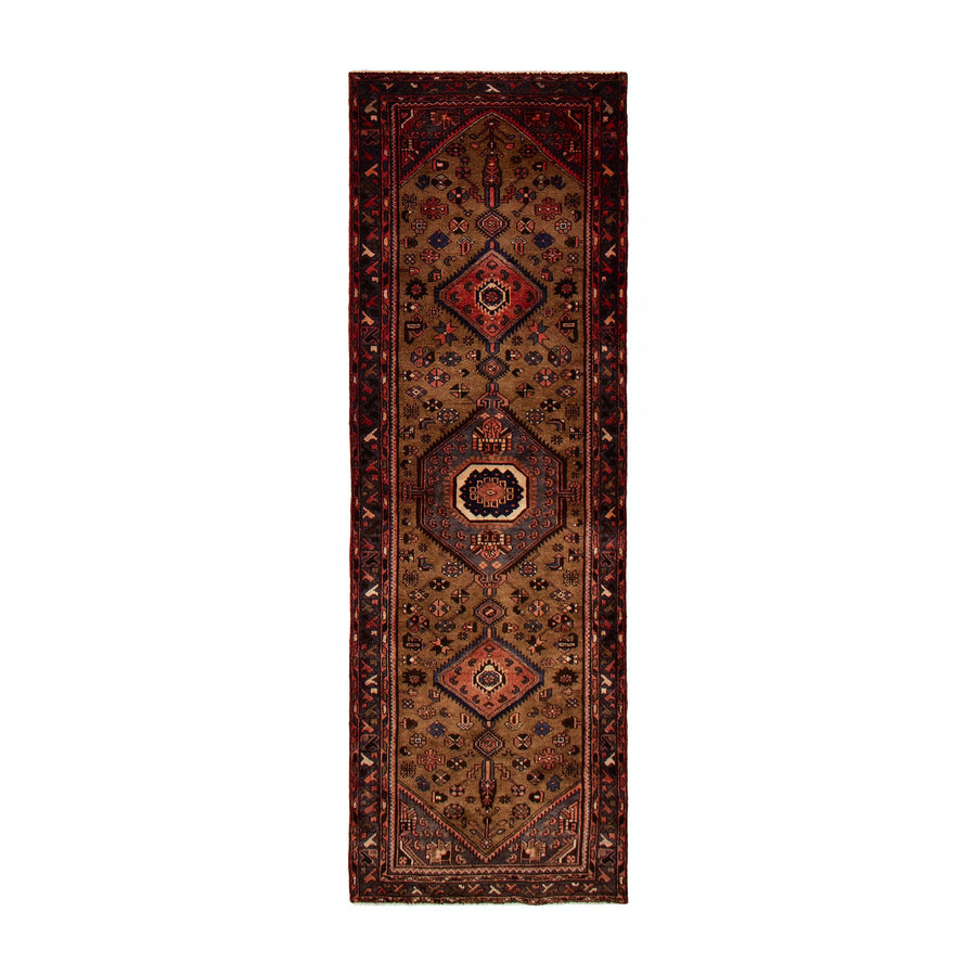 Tapis Ethna (3'2" x 9'5")