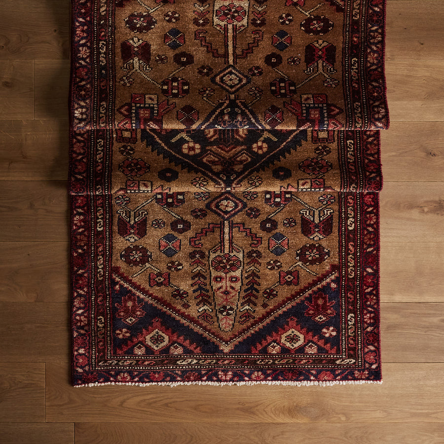 Tapis Joyce (3'2" x 10'4")