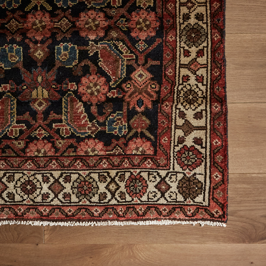 Tapis Dahl (3'5" x 10'4")