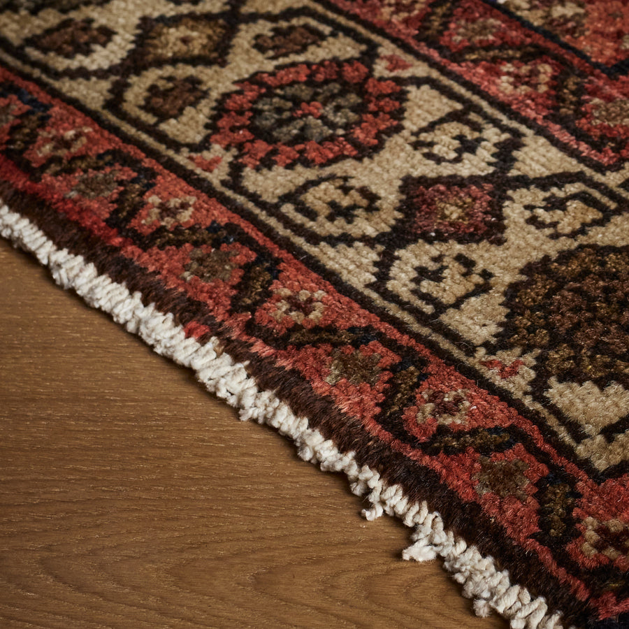 Tapis Dahl (3'5" x 10'4")