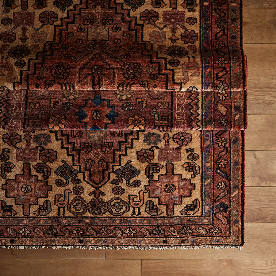Tapis Mayucca (5'1" x 9'2")