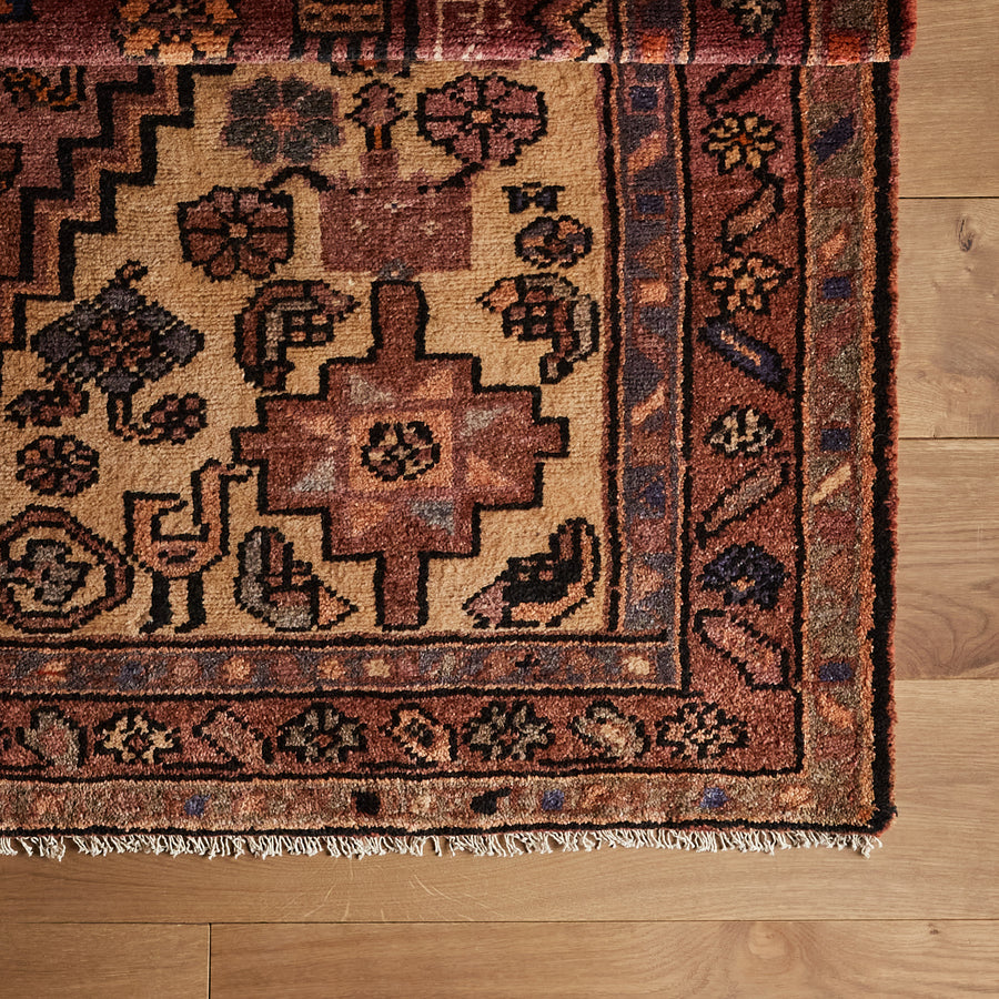 Tapis Mayucca (5'1" x 9'2")
