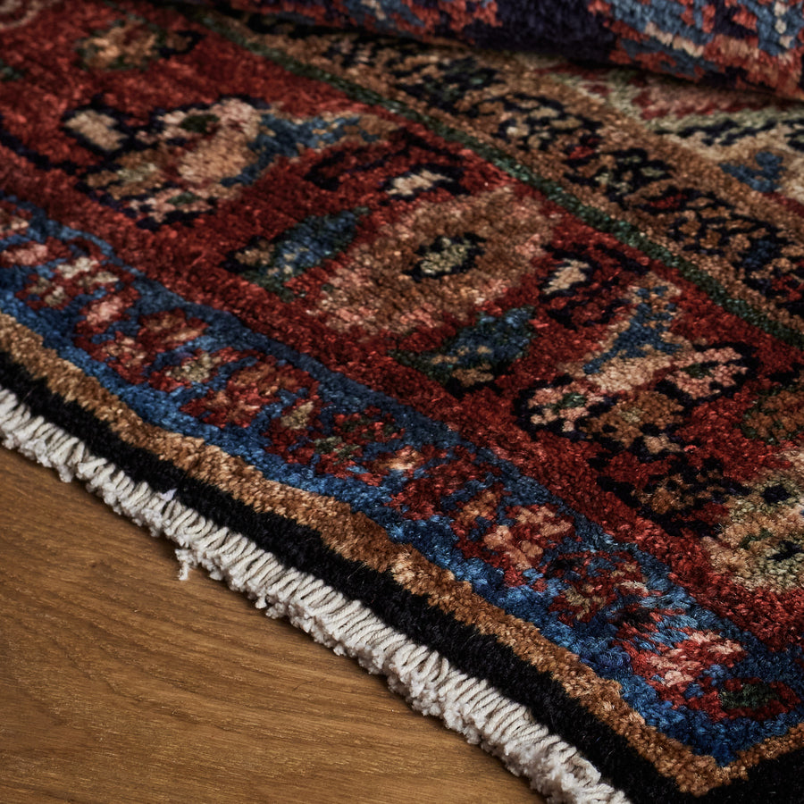 Tapis Evans (3'2" x 10'1")