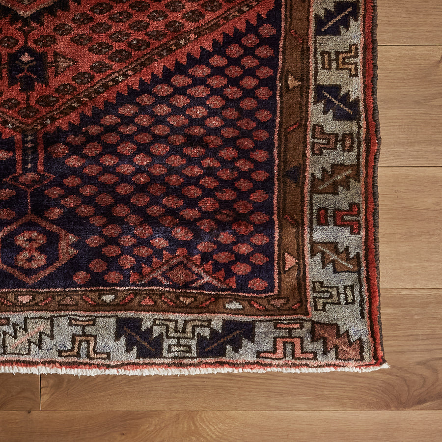 Tapis Bellana (3'7" x 6'9")