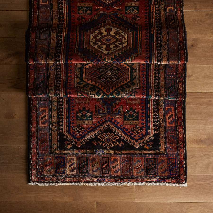 Tapis Briand (3'7" x 9'10")