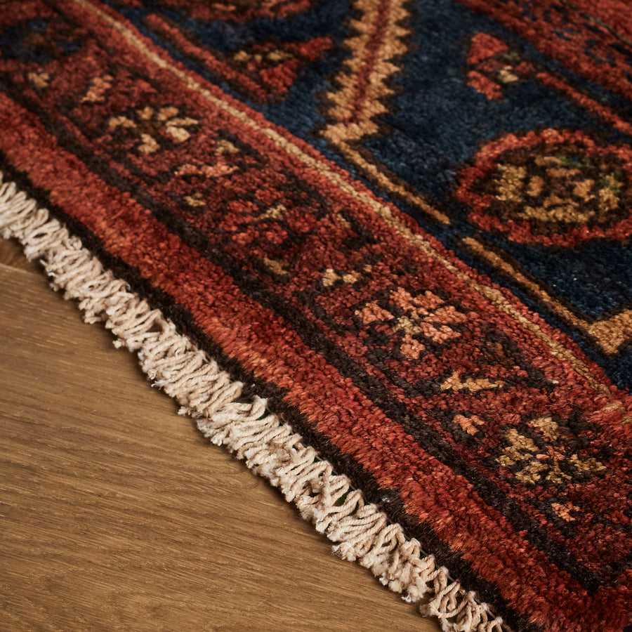 Tapis Aliah (3'11" x 7'9")