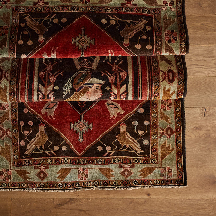 Tapis Pollo (4'0" x 7'1")