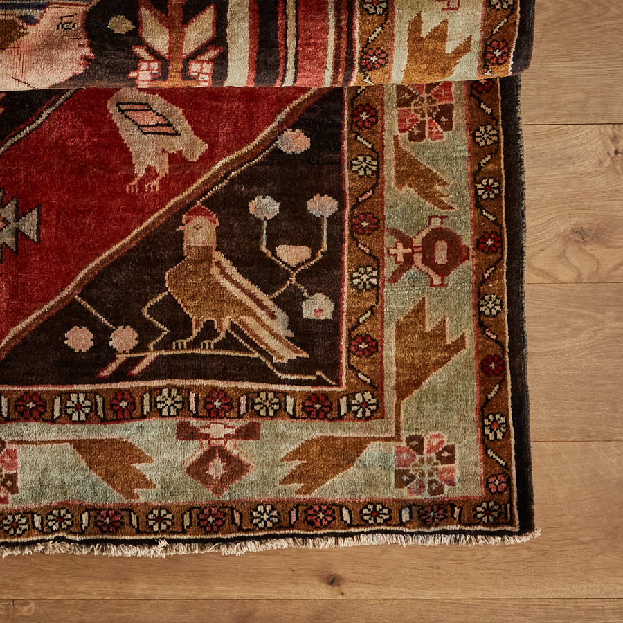 Tapis Pollo (4'0" x 7'1")