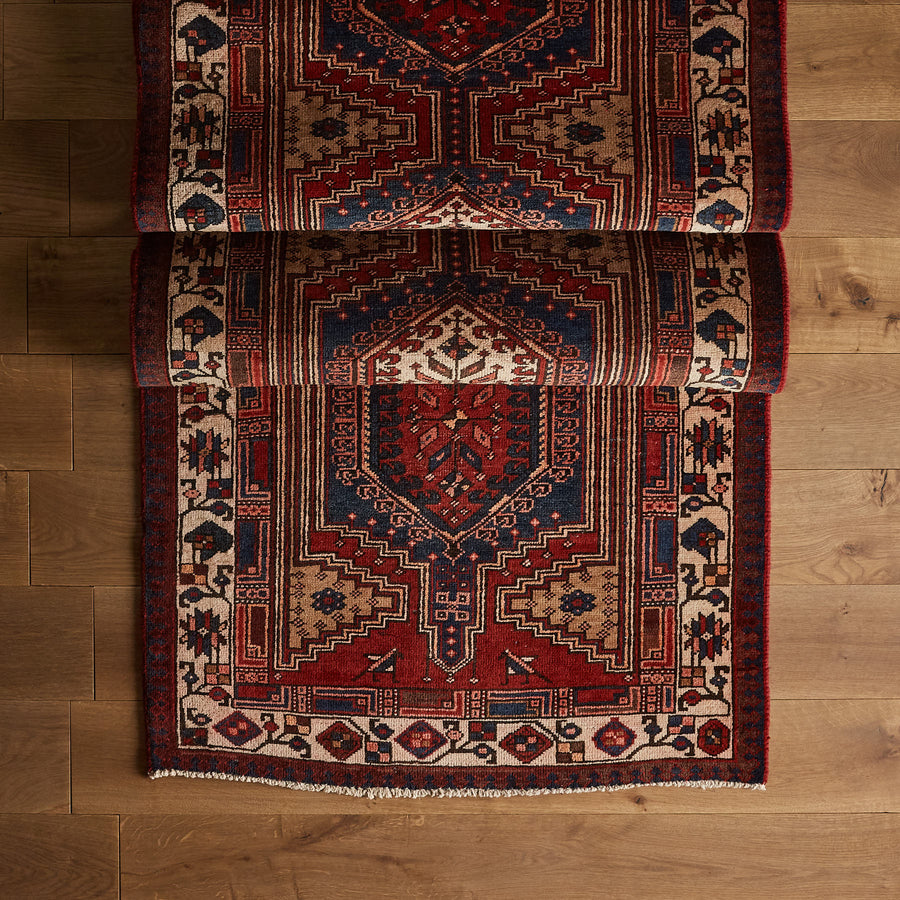 Tapis Rosch (3'5" x 11'1")