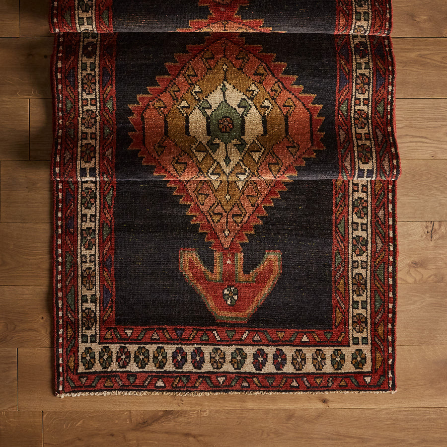 Tapis Naveed (3'5" x 11'10")
