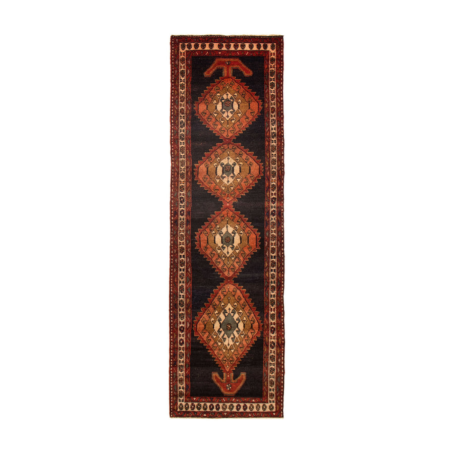 Tapis Naveed (3'5" x 11'10")