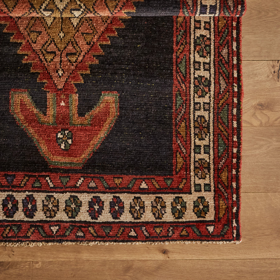 Tapis Naveed (3'5" x 11'10")