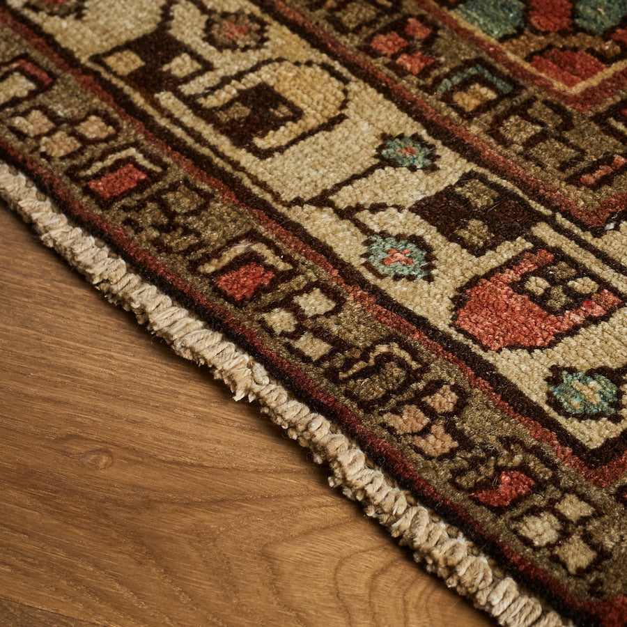 Tapis Dalena (2'11" x 9'2")
