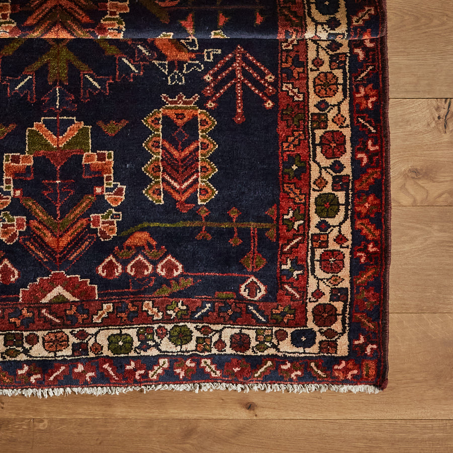 Tapis Lodana (3'9" x 10'1")