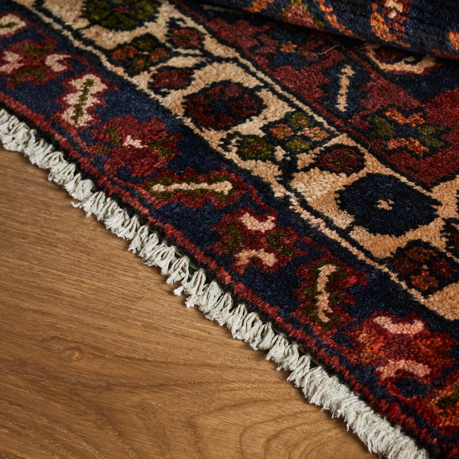Tapis Lodana (3'9" x 10'1")