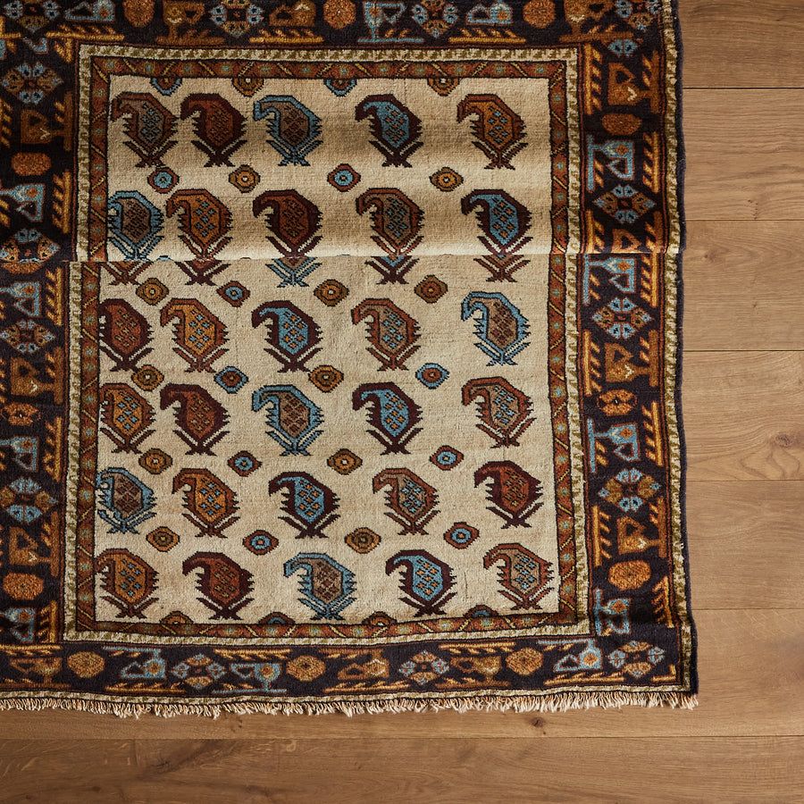 Tapis Jay (3'5" x 4'7")