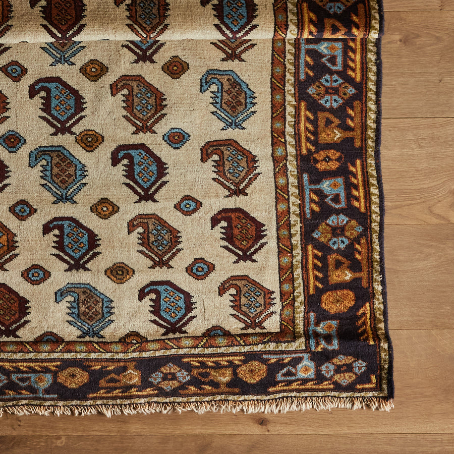 Tapis Jay (3'5" x 4'7")