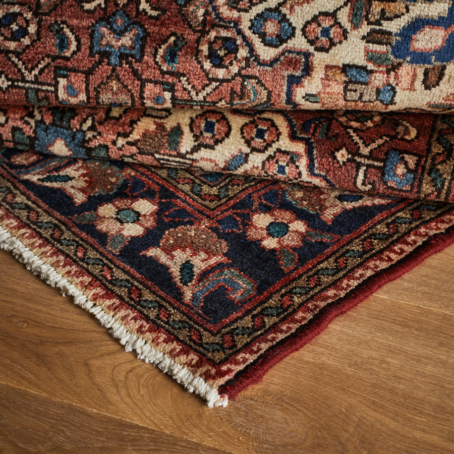 Tapis Begonia (3'5" x 5'1")