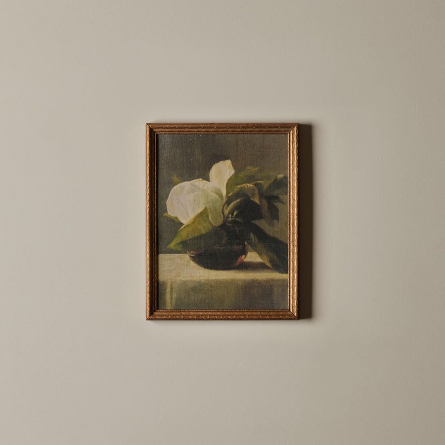 Fleur de Magnolia (10" X 13")