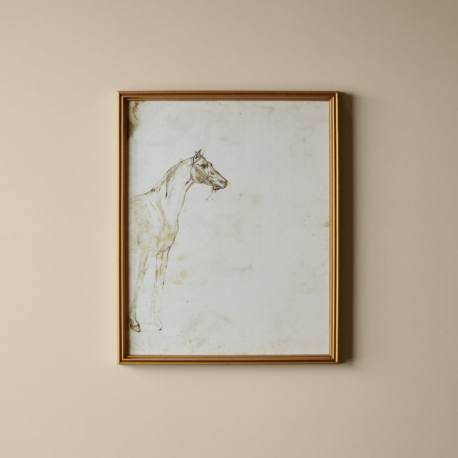 Étude d'un Cheval (17" X 21")